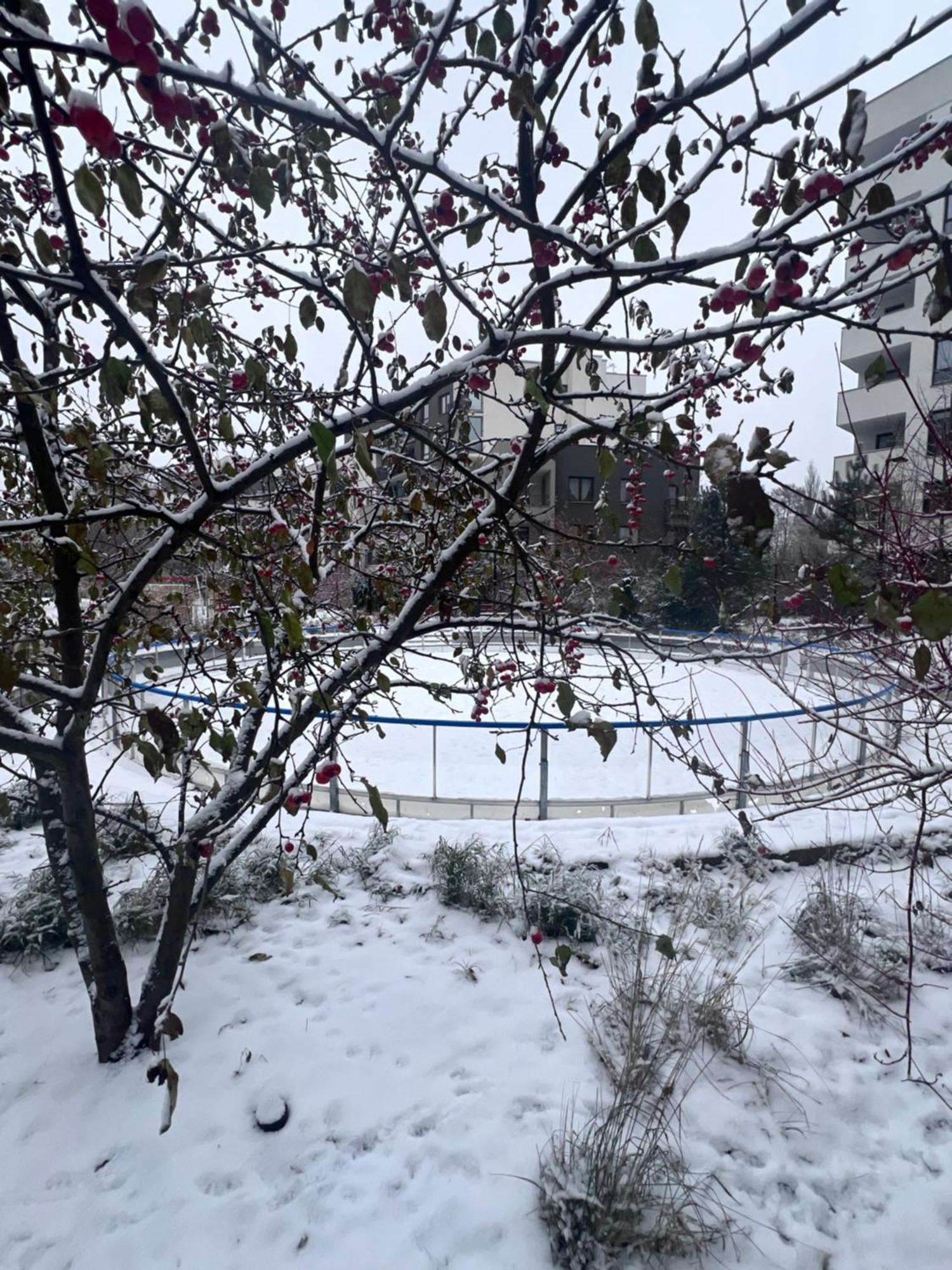 Lake Park Apartament With Free Parking Airport Netflix Διαμέρισμα Βαρσοβία Εξωτερικό φωτογραφία