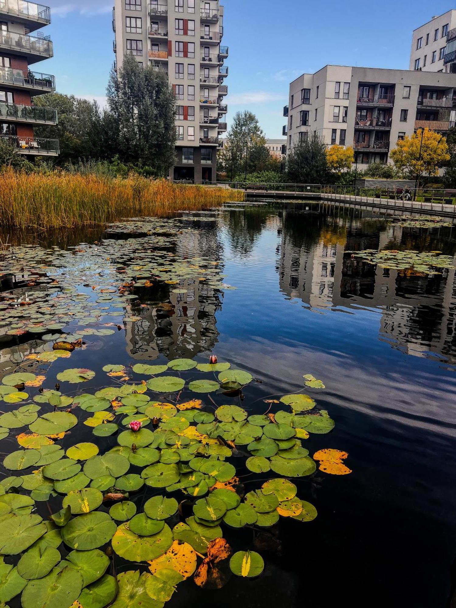Lake Park Apartament With Free Parking Airport Netflix Διαμέρισμα Βαρσοβία Εξωτερικό φωτογραφία