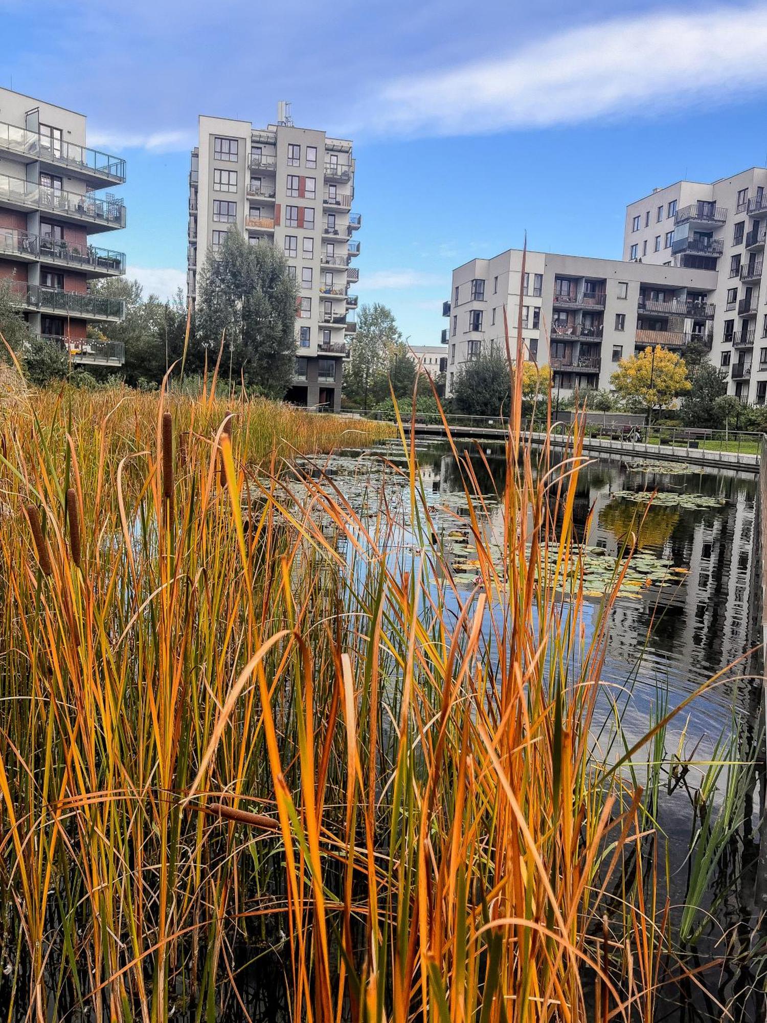 Lake Park Apartament With Free Parking Airport Netflix Διαμέρισμα Βαρσοβία Εξωτερικό φωτογραφία